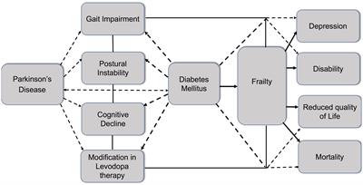 Frailty and Parkinson’s disease: the role of diabetes mellitus